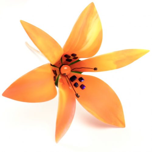 Orange glass lily